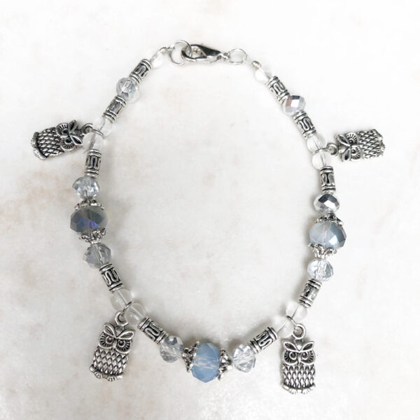 Iridescent Silver and Gray Owl Charm Bracelet & Earrings