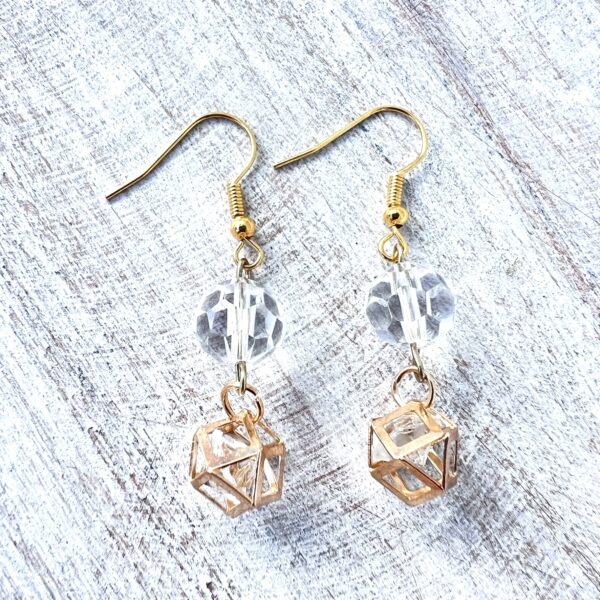 Clear Cage Earrings